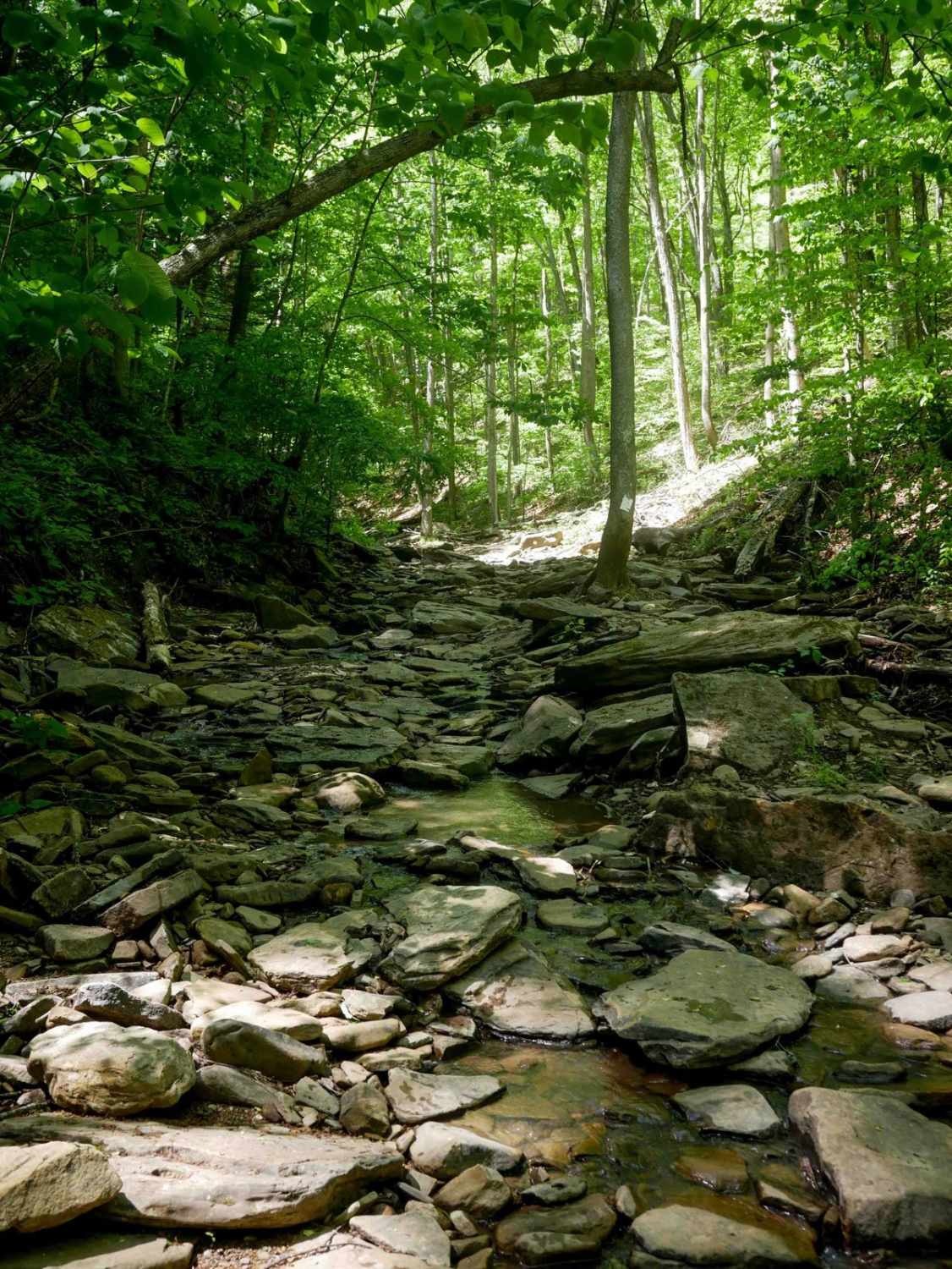 Trail 29