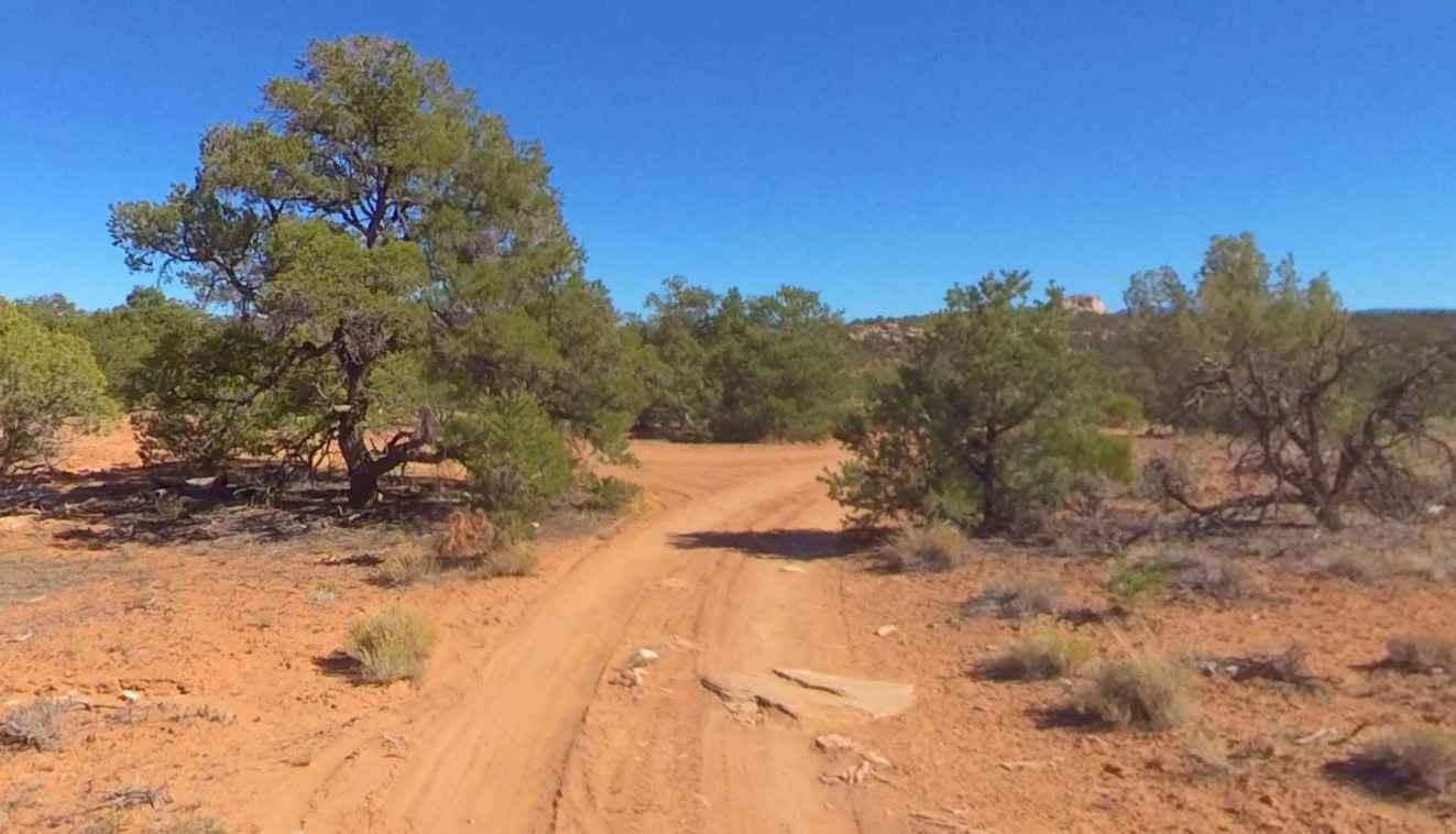 BLM D0153 - Farmhouse Ruins