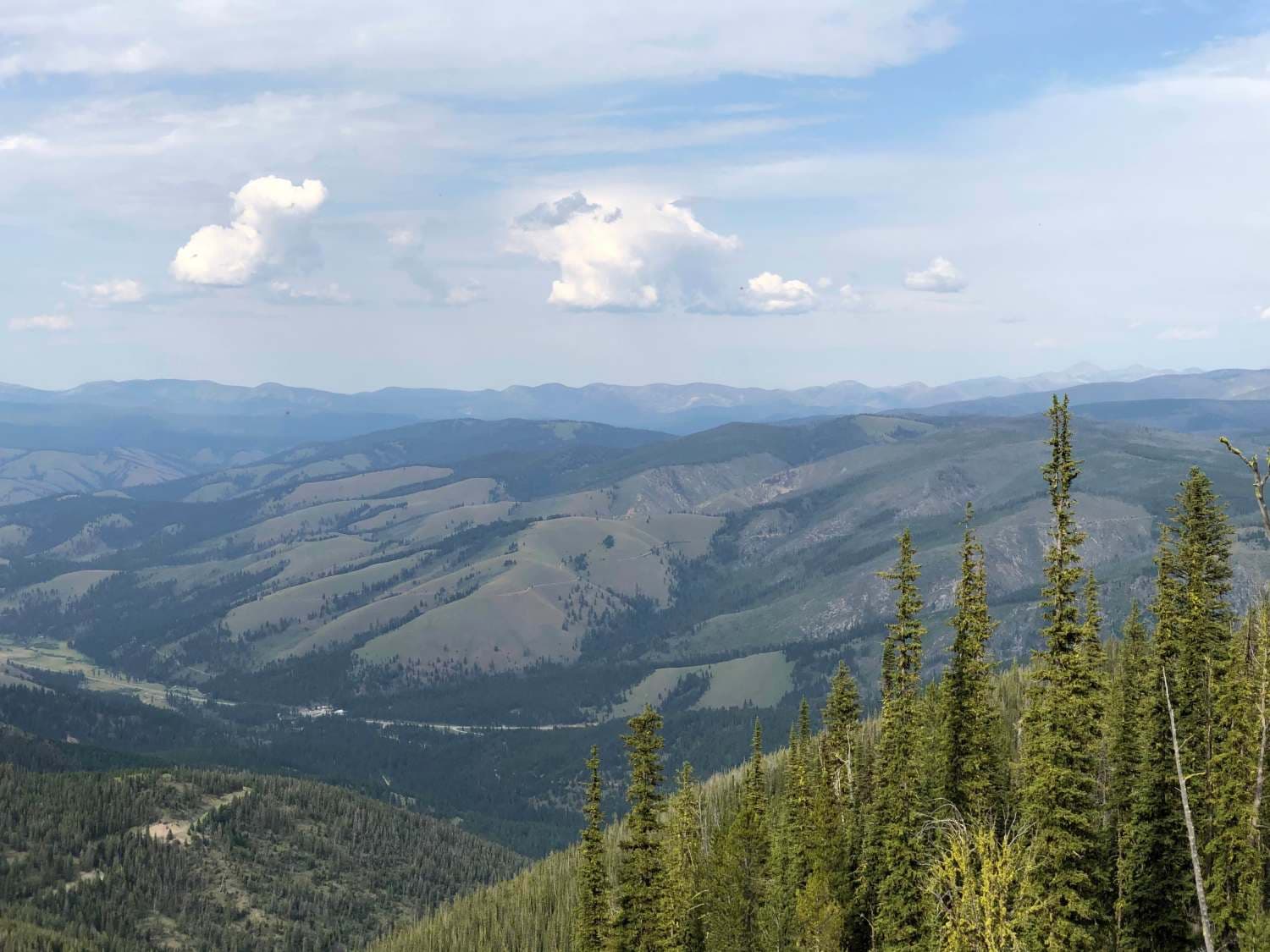 Saddle Mountain Trail