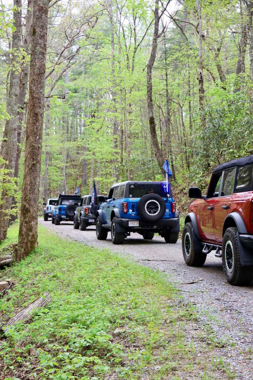 Rich Mountain Road