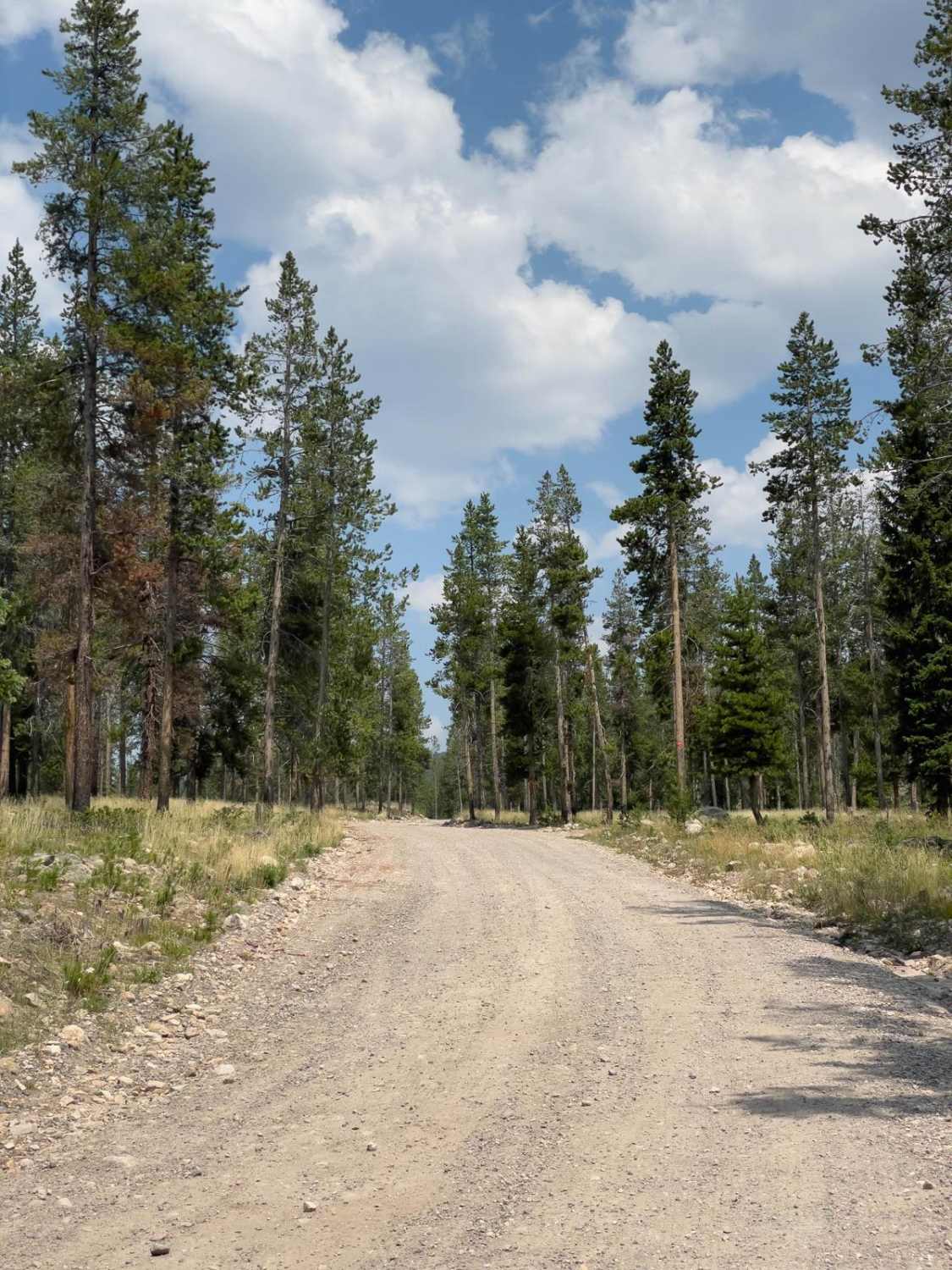 Murdock Basin - FR 80137