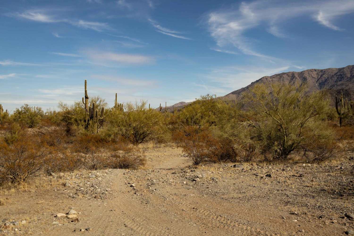 21183 Trail