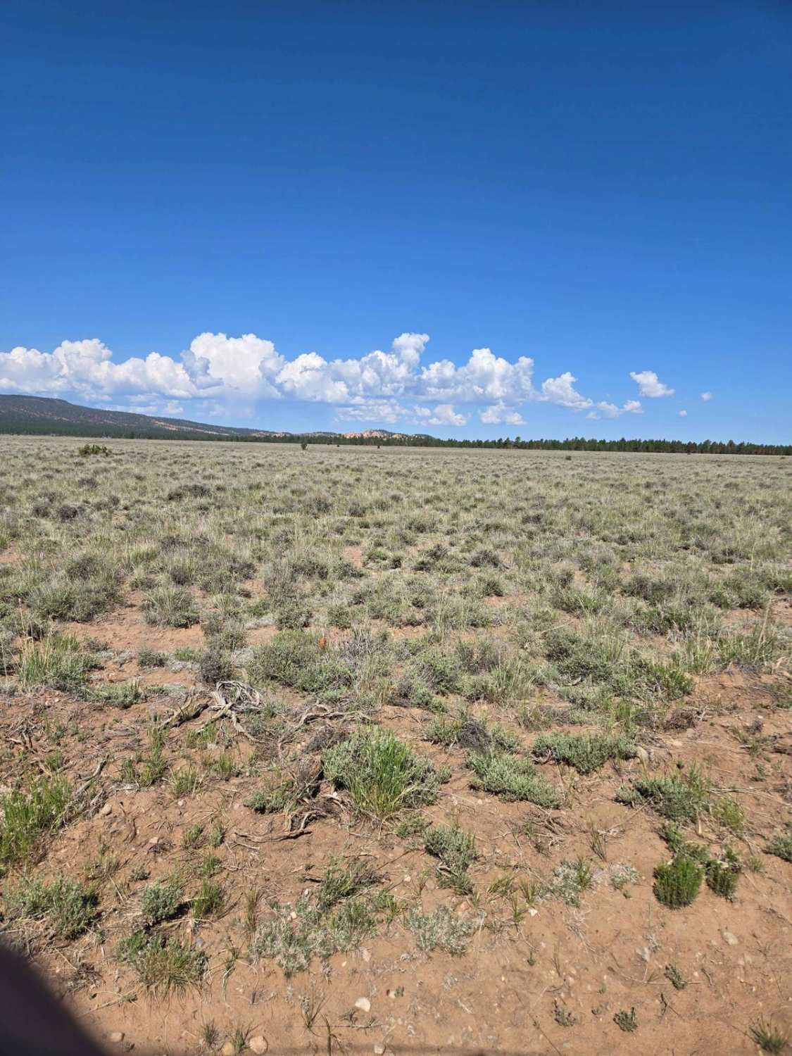 Lightning Draw Trail