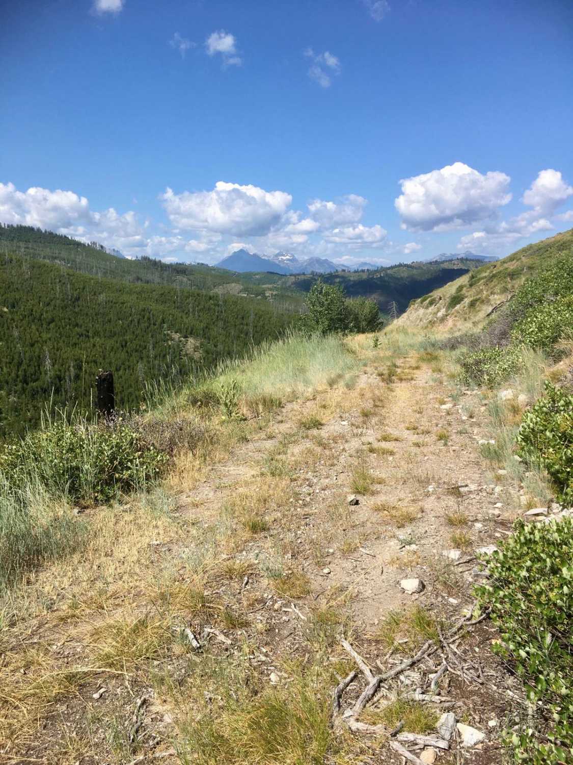 Cold Spring Hill Road