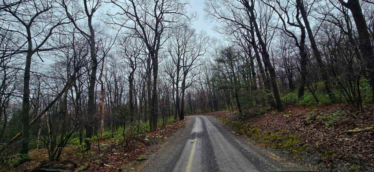Cowpens Road