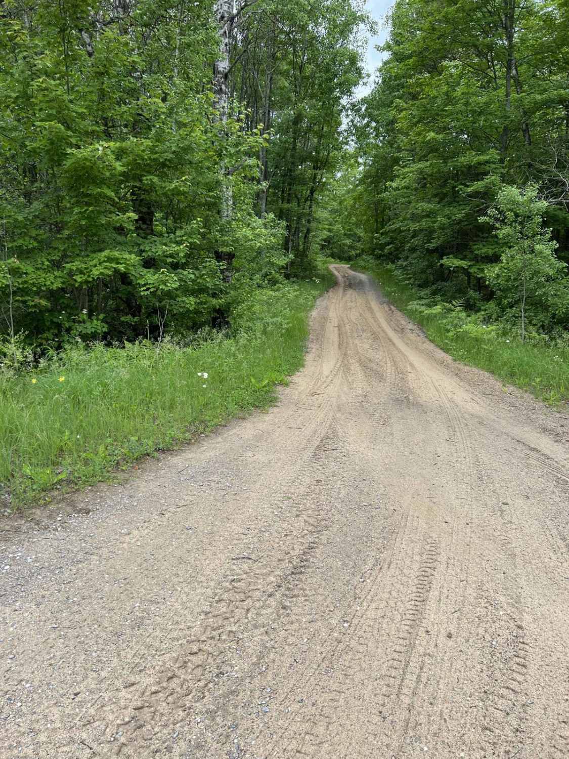 Hill to Granholm