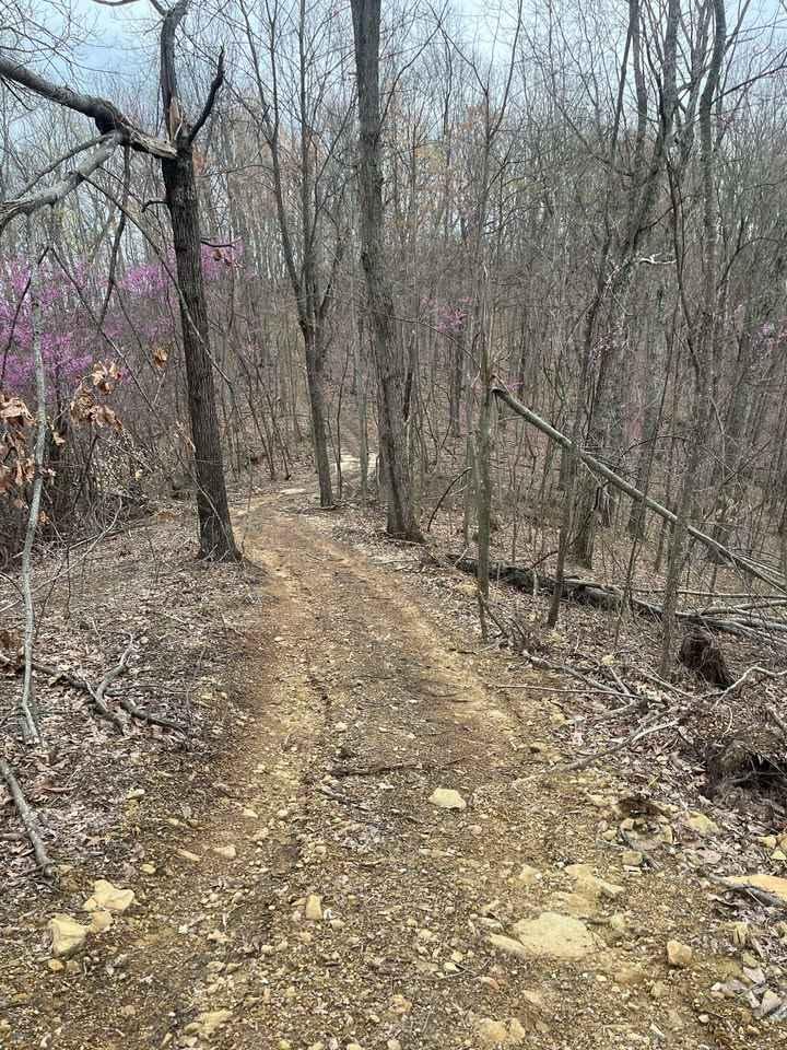 Trail 3