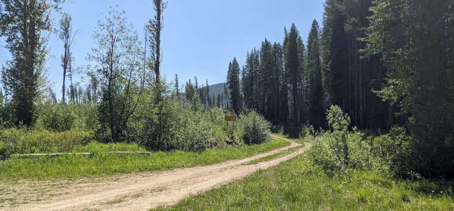 Lodgepole Pass