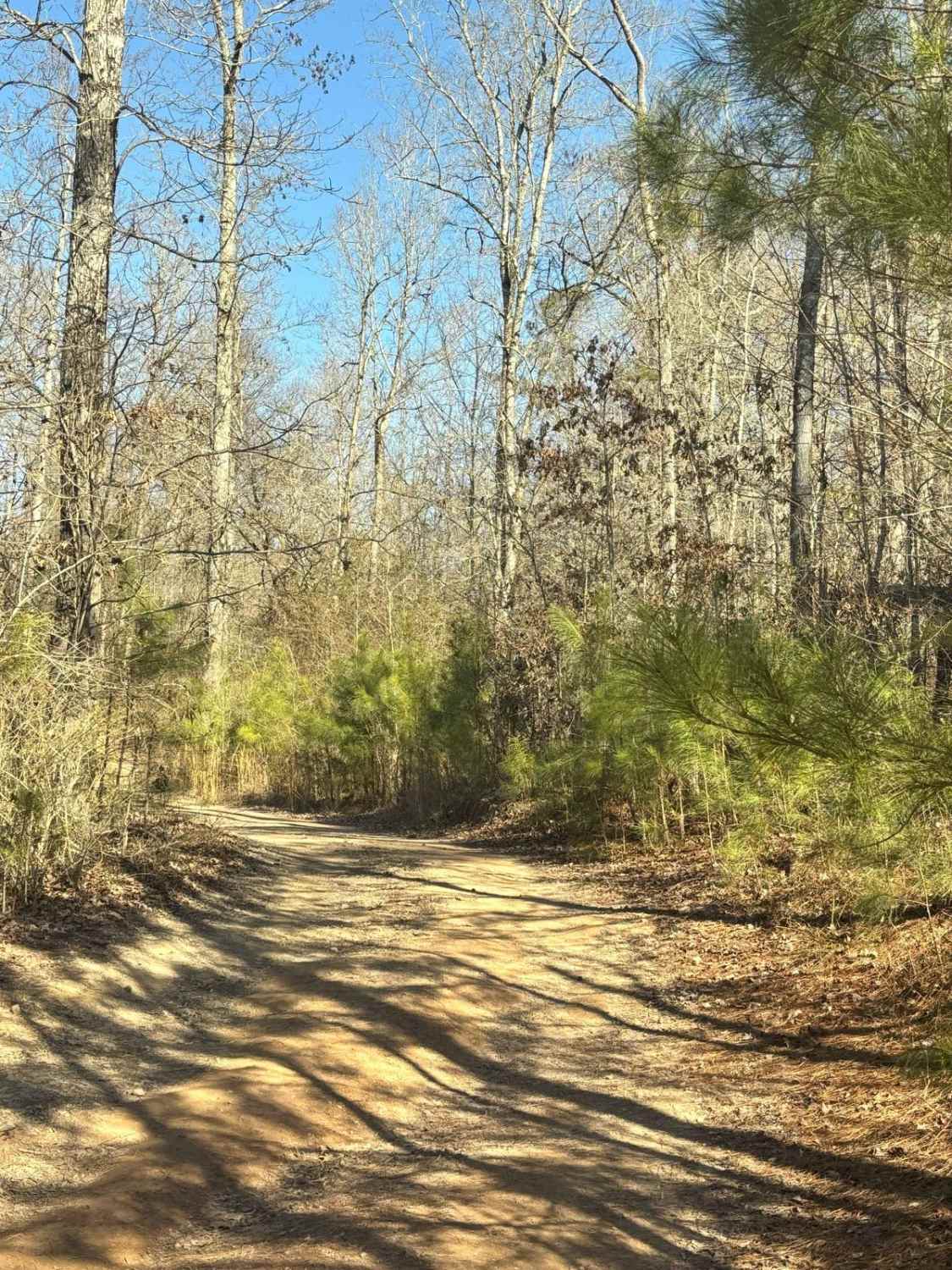Creek Trail Bypass