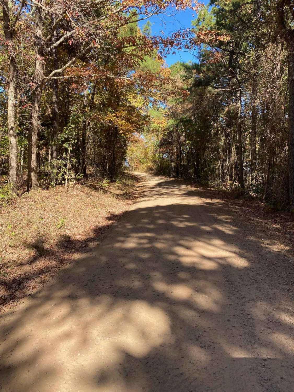 Graves Creek Road