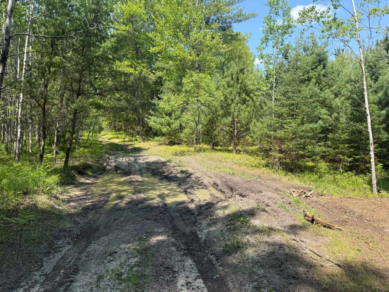 Fife Lake Trail