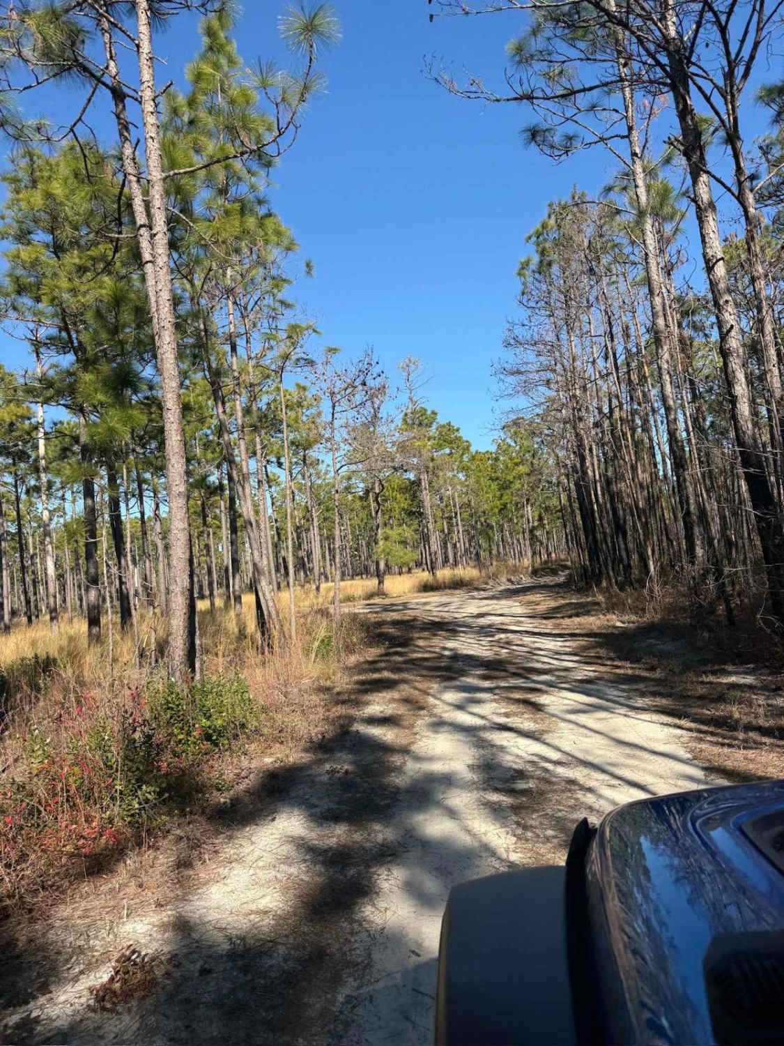 Pettiford Creek Main Trail