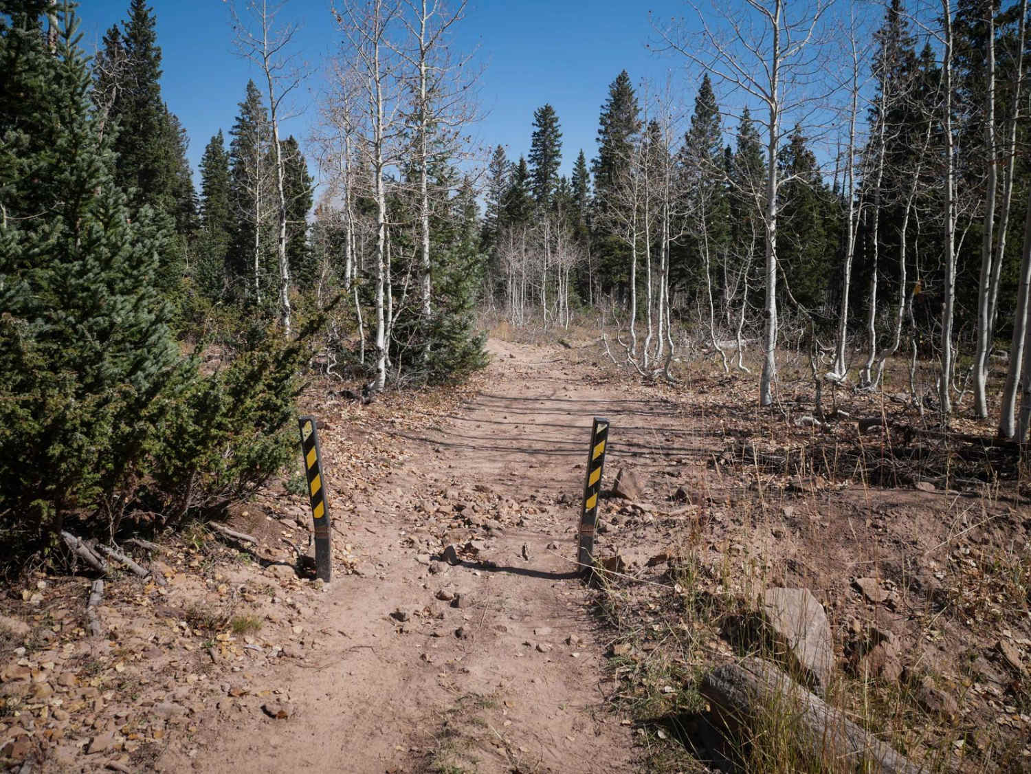 Dry Creek ATV Spur 
