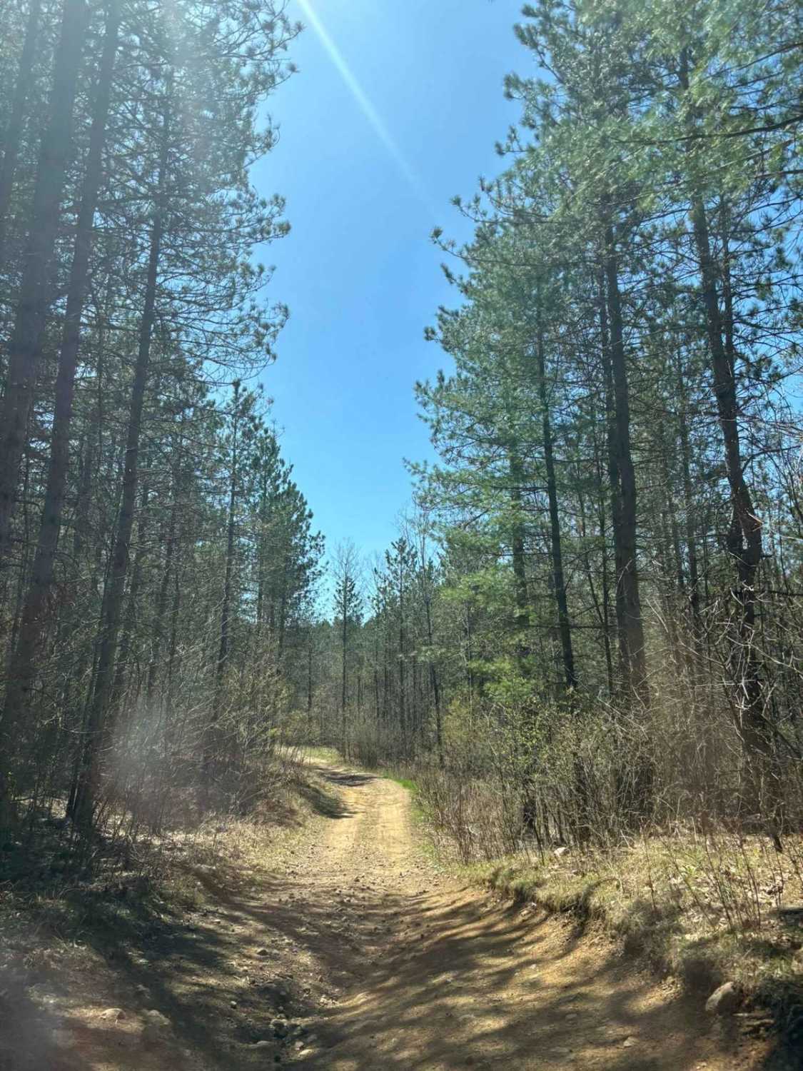 Forest Road 2259
