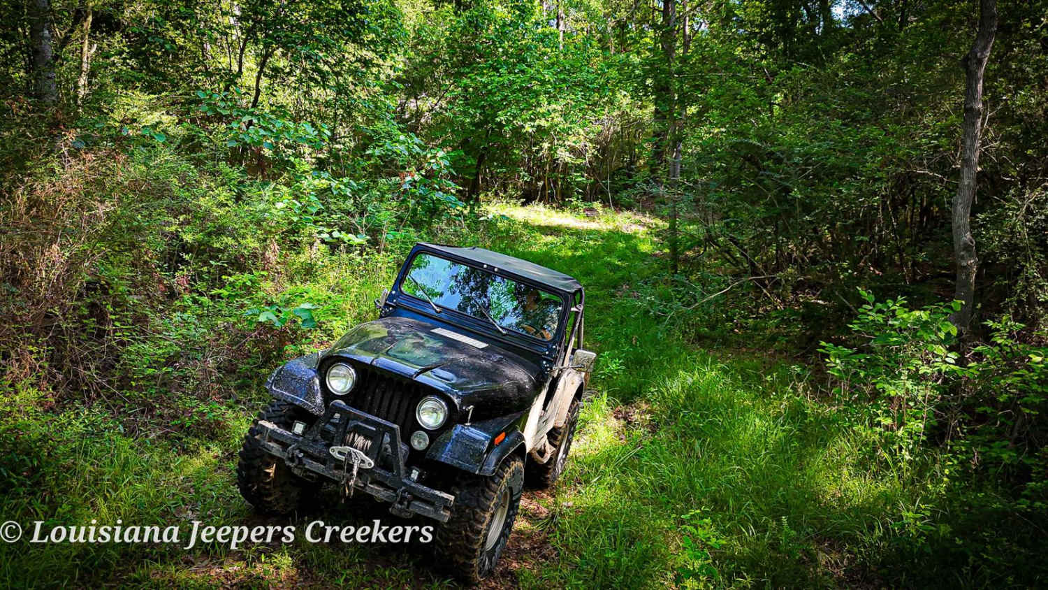 Creek Side