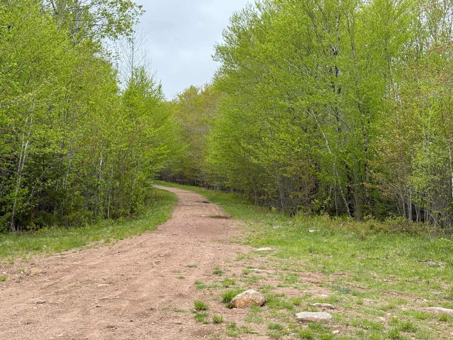 Gold River Lake Trail