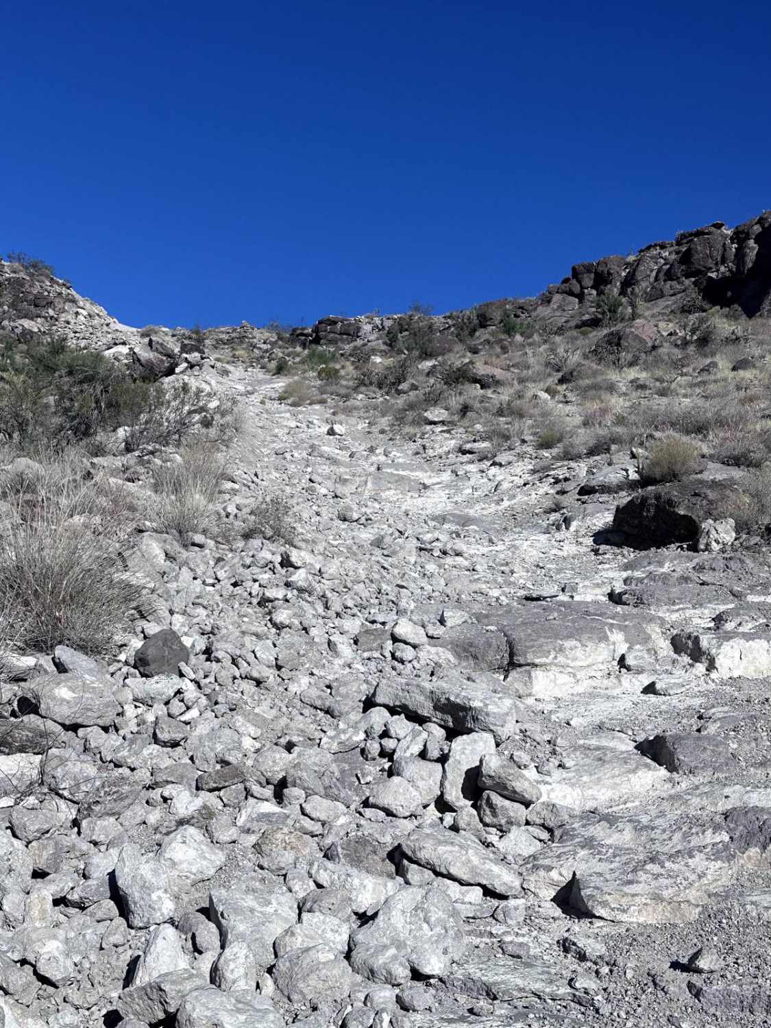 Angry Duck Trail