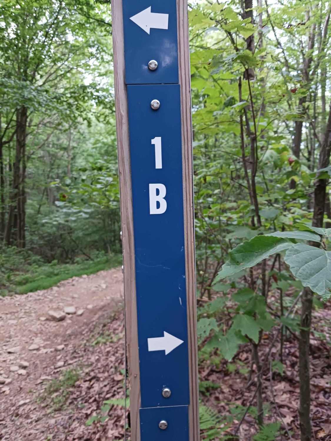 Trail 1B - Rock Run Recreation Area
