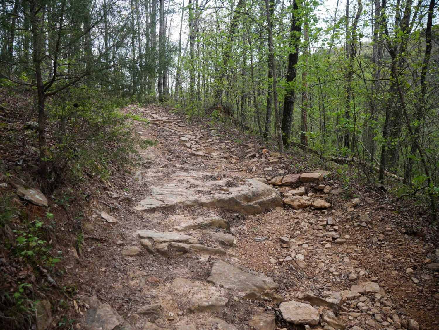 Gap Hollow Spur South 2