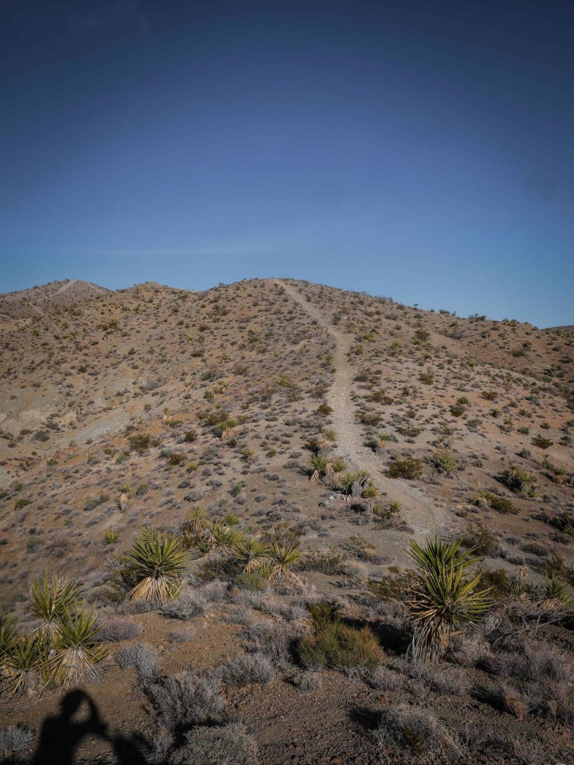 Rollercoaster Ridge ATV Trail 
