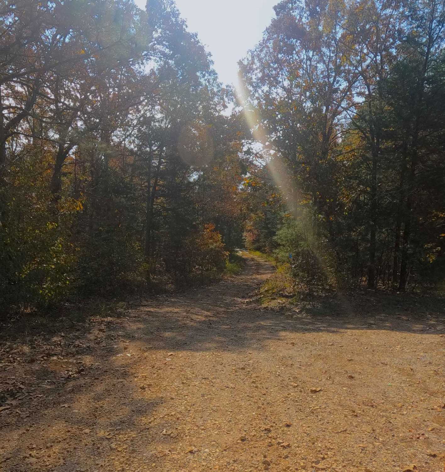 Kelsie Road - FS 308