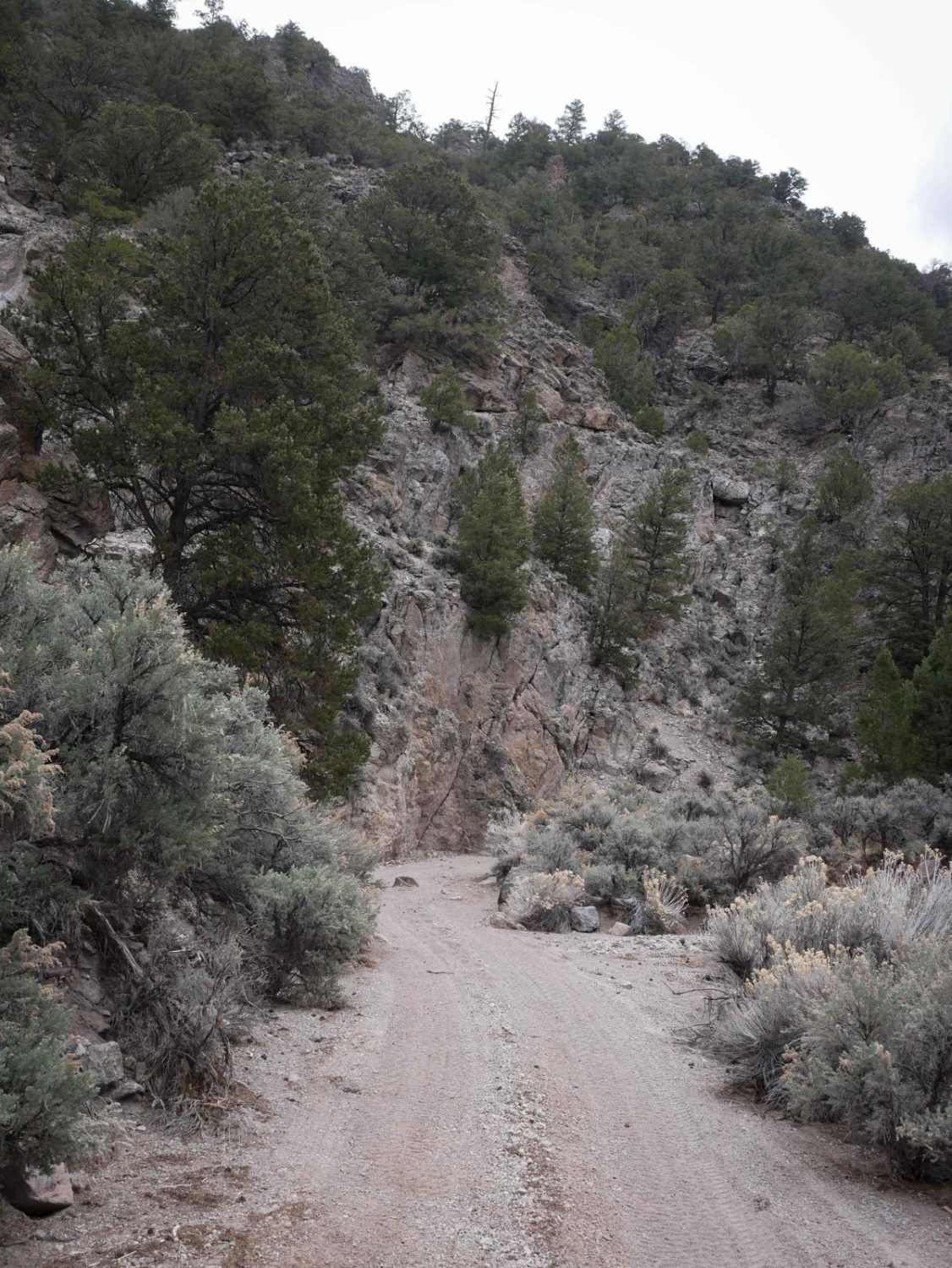 Horse Valley ATV Trail