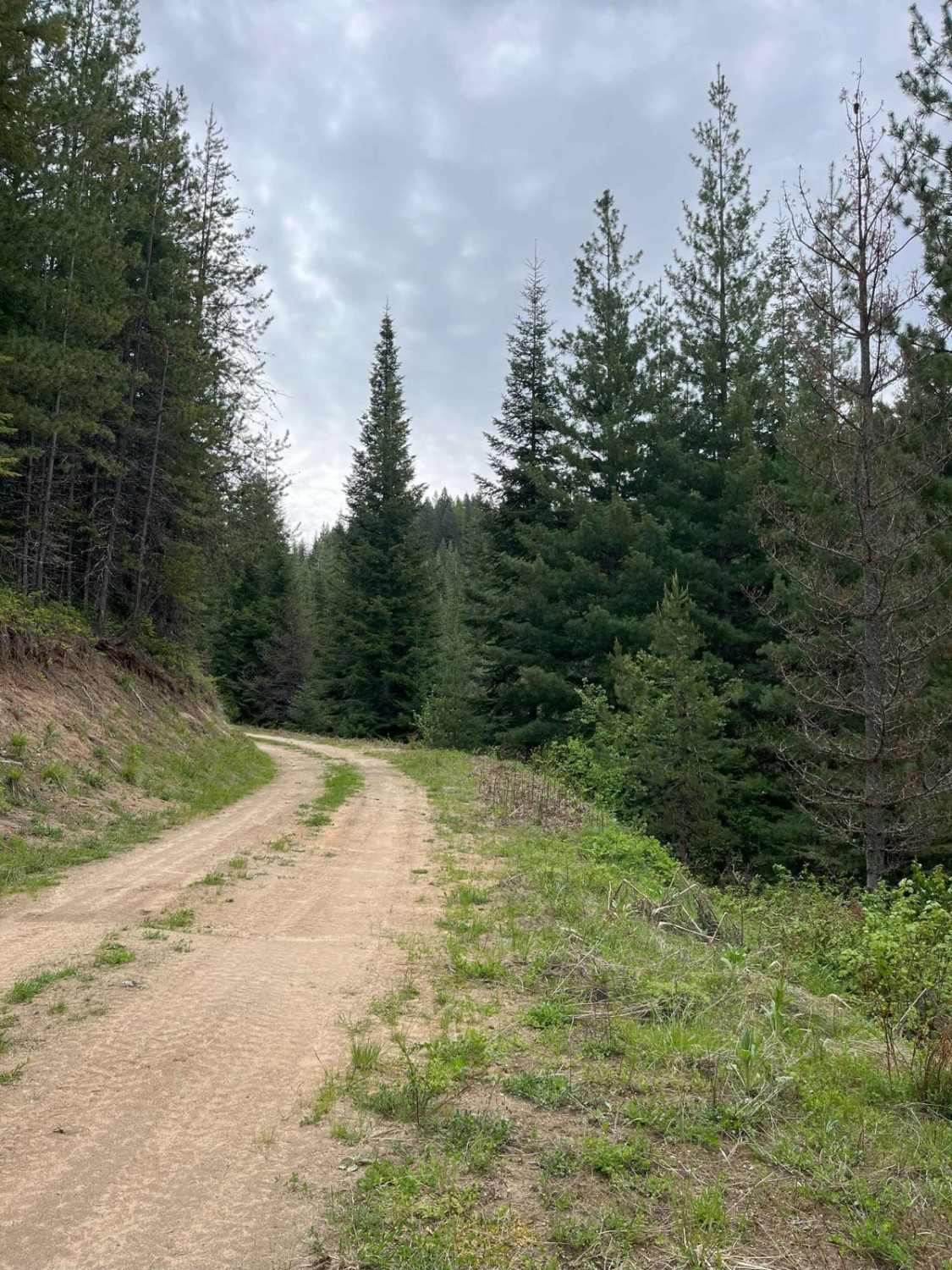 Forest Service Rd 3320E West