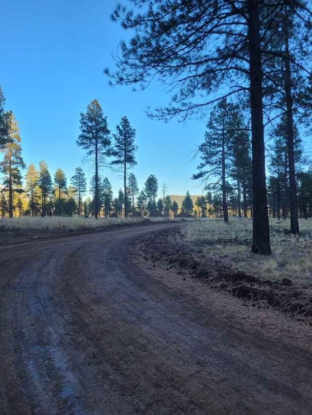 Walker Hill Trail