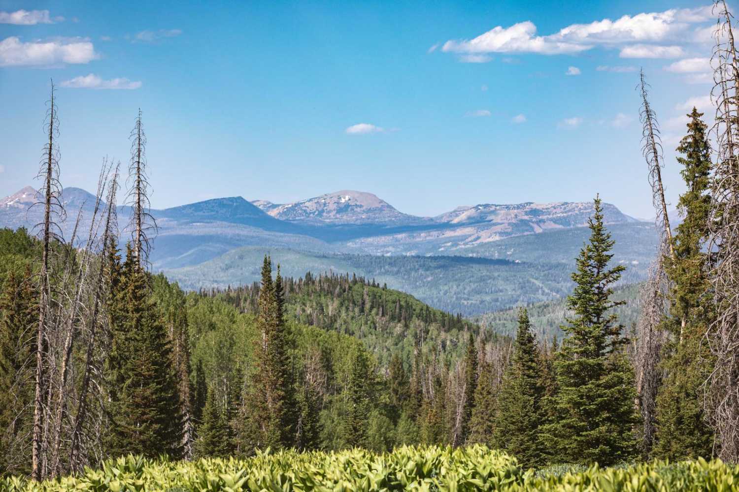 Heber Mtn (FR 70096)