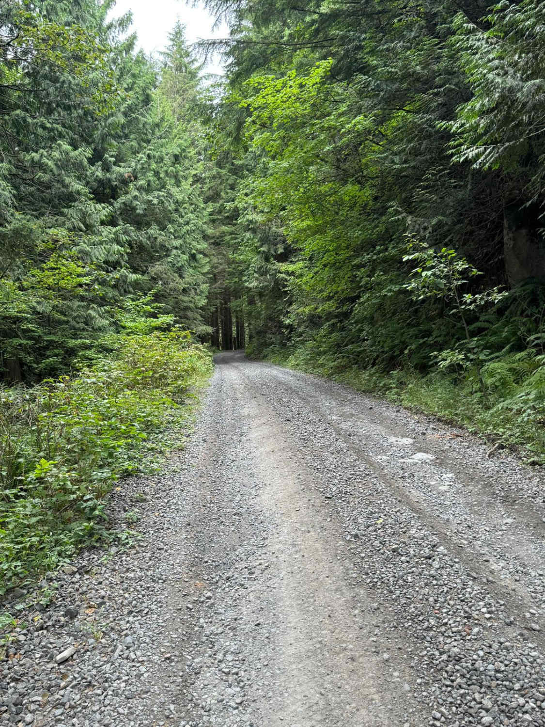 CG 1400 Connecting Trail