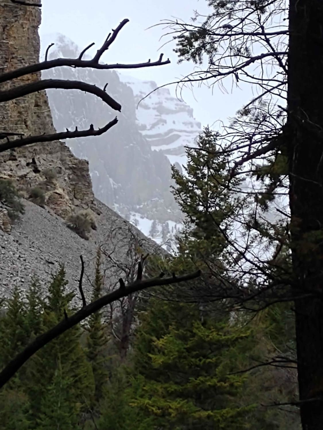 Chimney Gulch to Mammoth Canyon