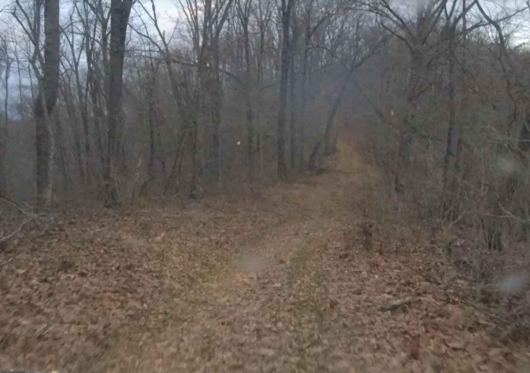 Turkey Leg Hill