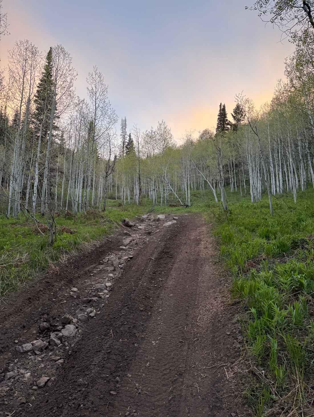 Rattlesnake Hill