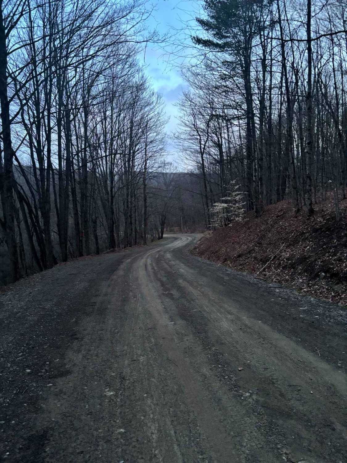 Walker Road
