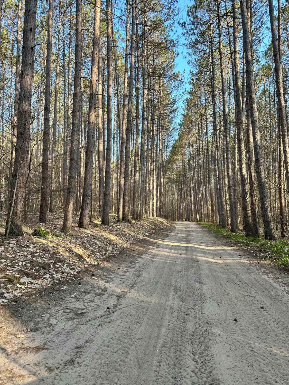 Cadillac Area ORV/OHV Scenic Ride - Part 4