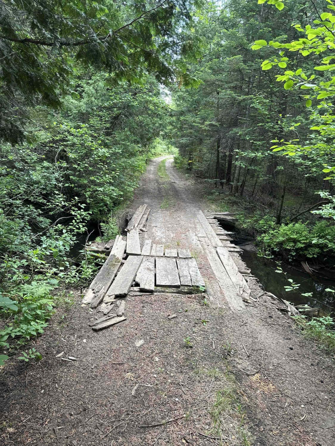 Ozark