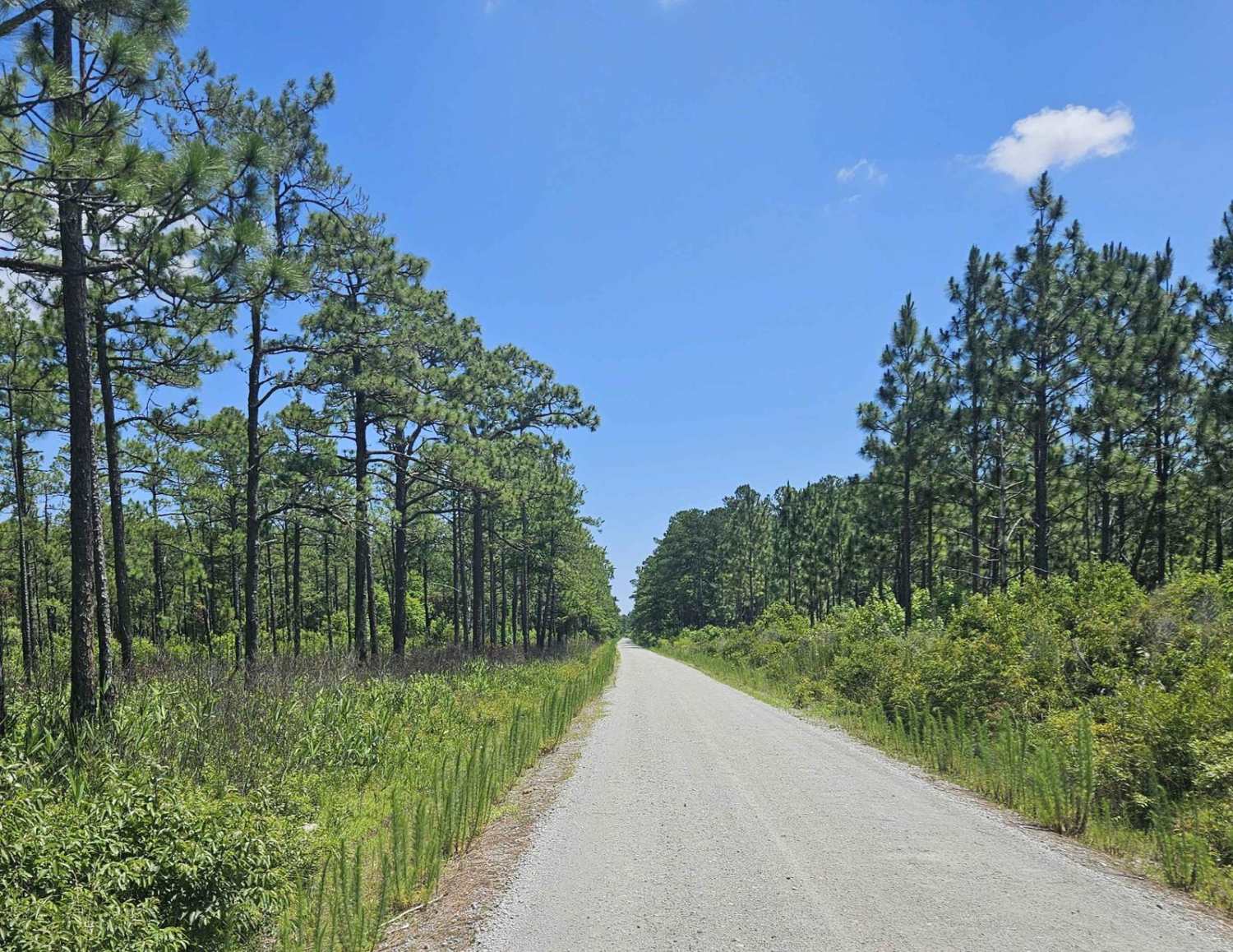 Millis Road (128)
