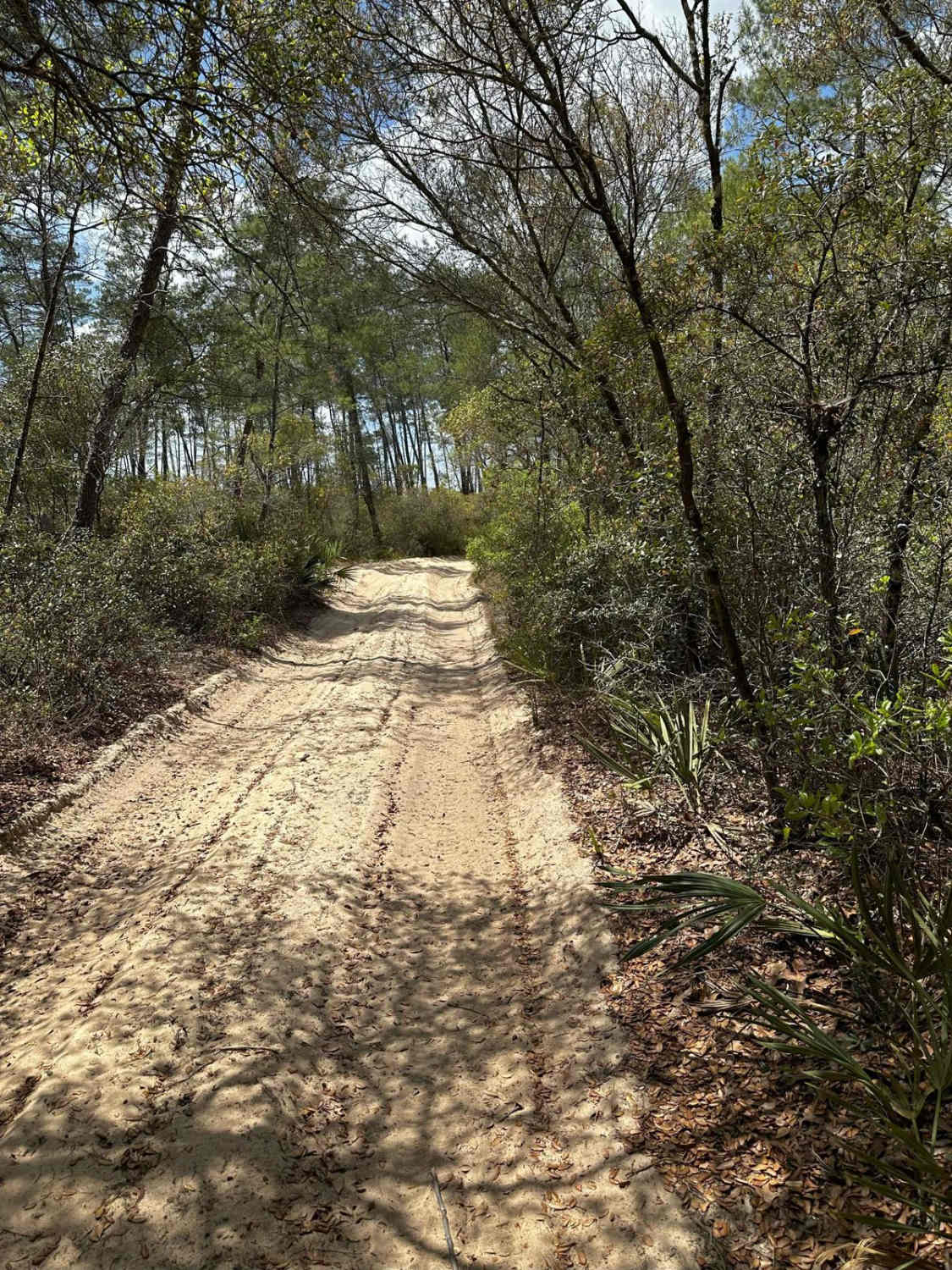 ONF Trail 5-9.0