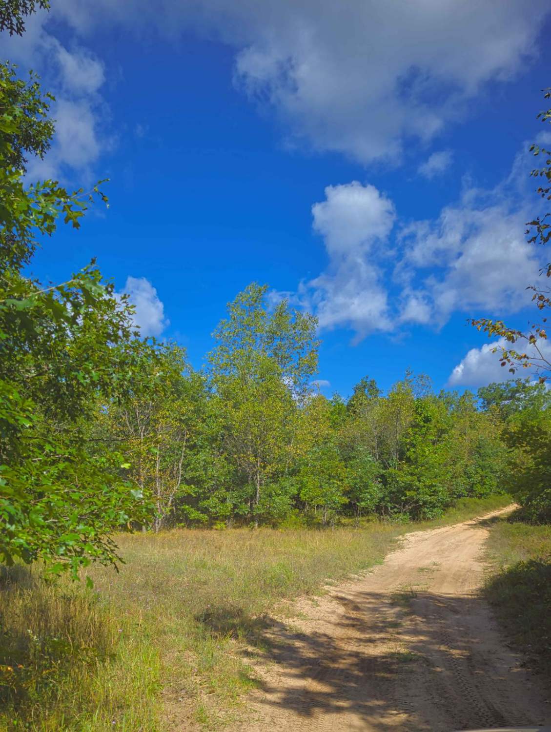 Whisker's Trail
