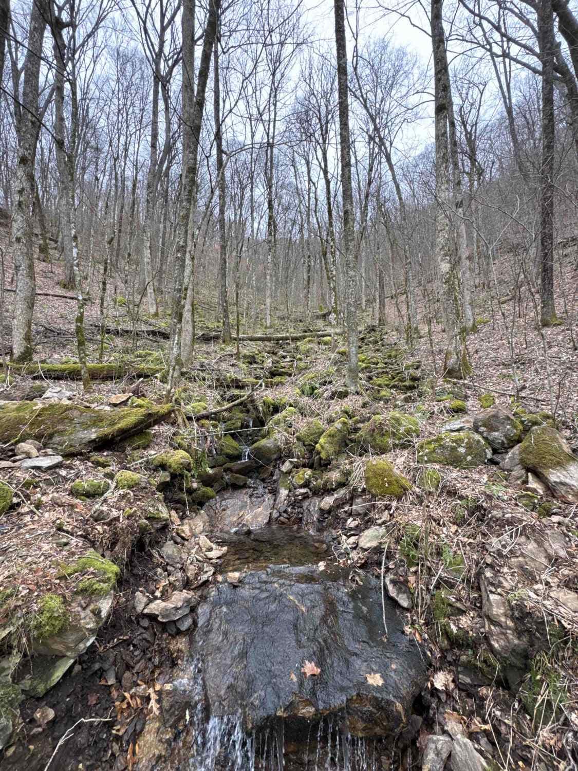 Deep Gap - FR 71