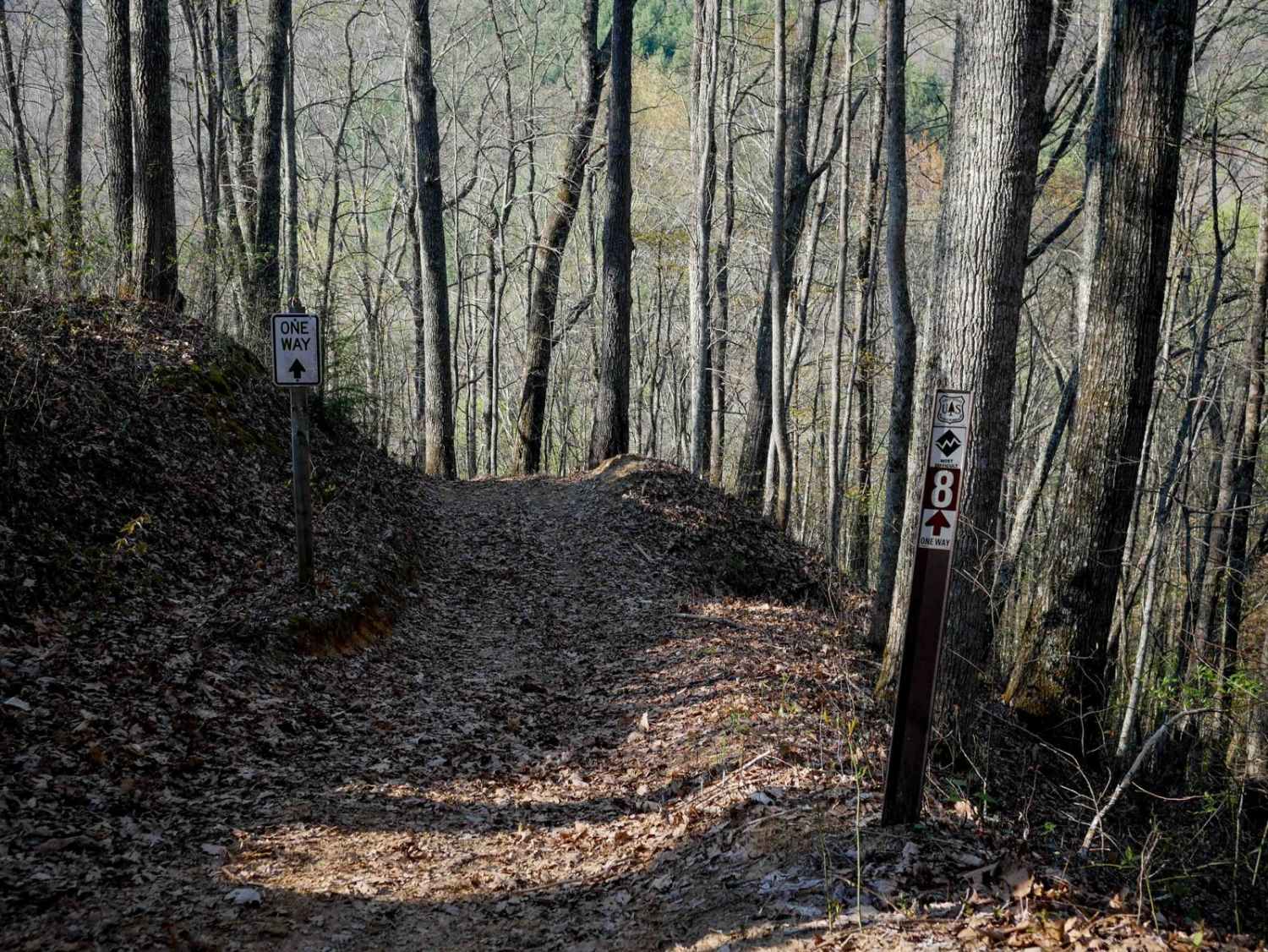 Trail 8 (Most Difficult - One Way)