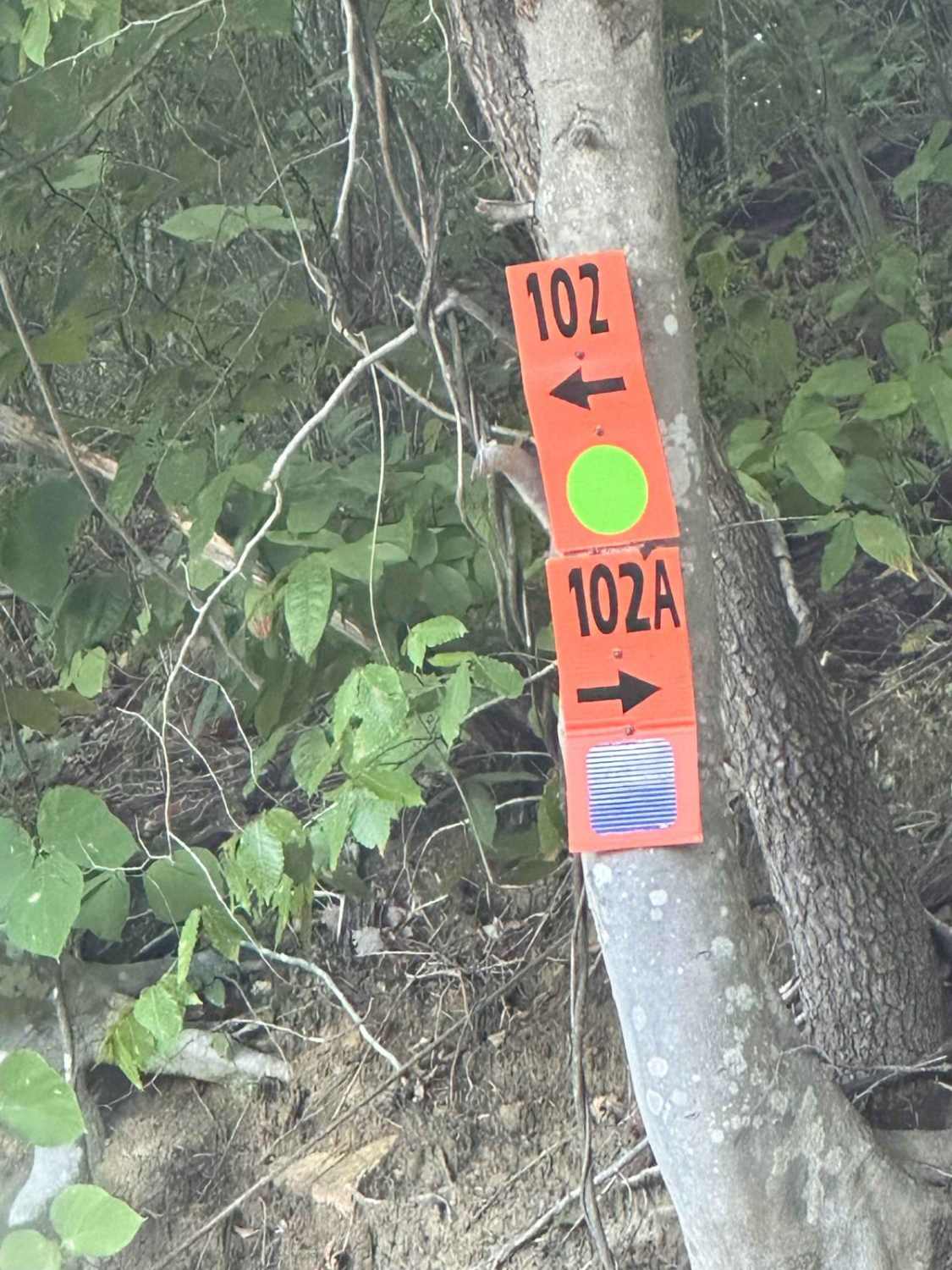 102A