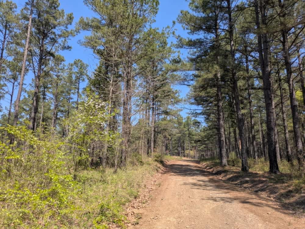Anderson Trail
