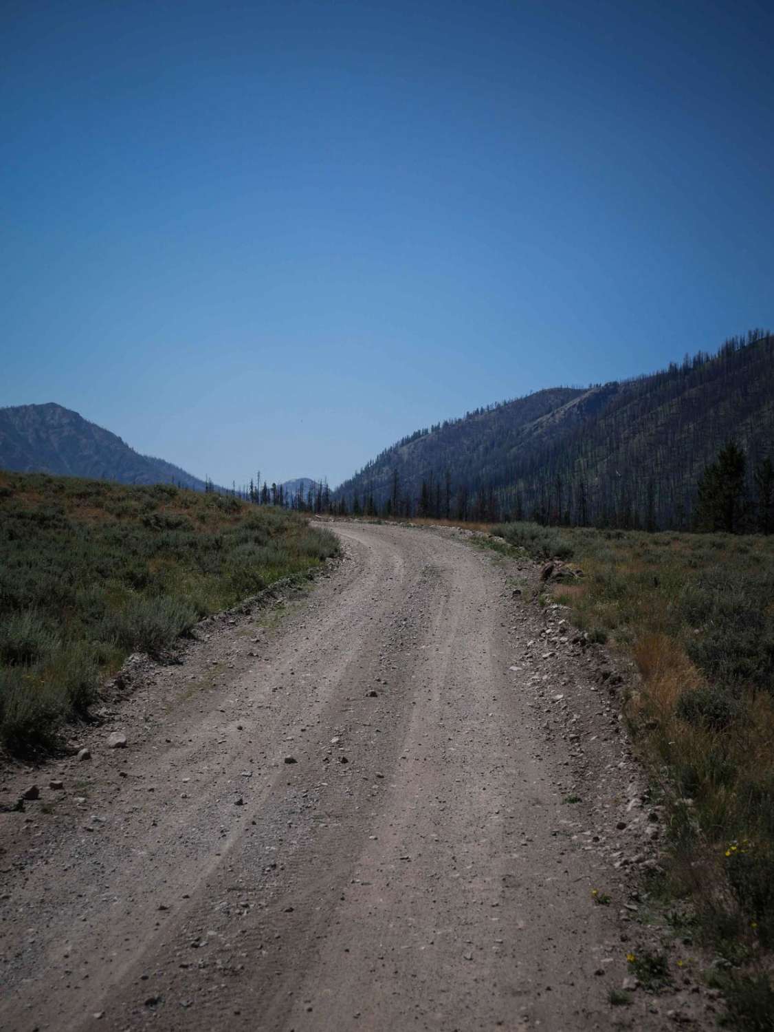 Smiley Creek 