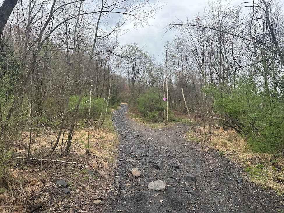 Burma Single Track 2