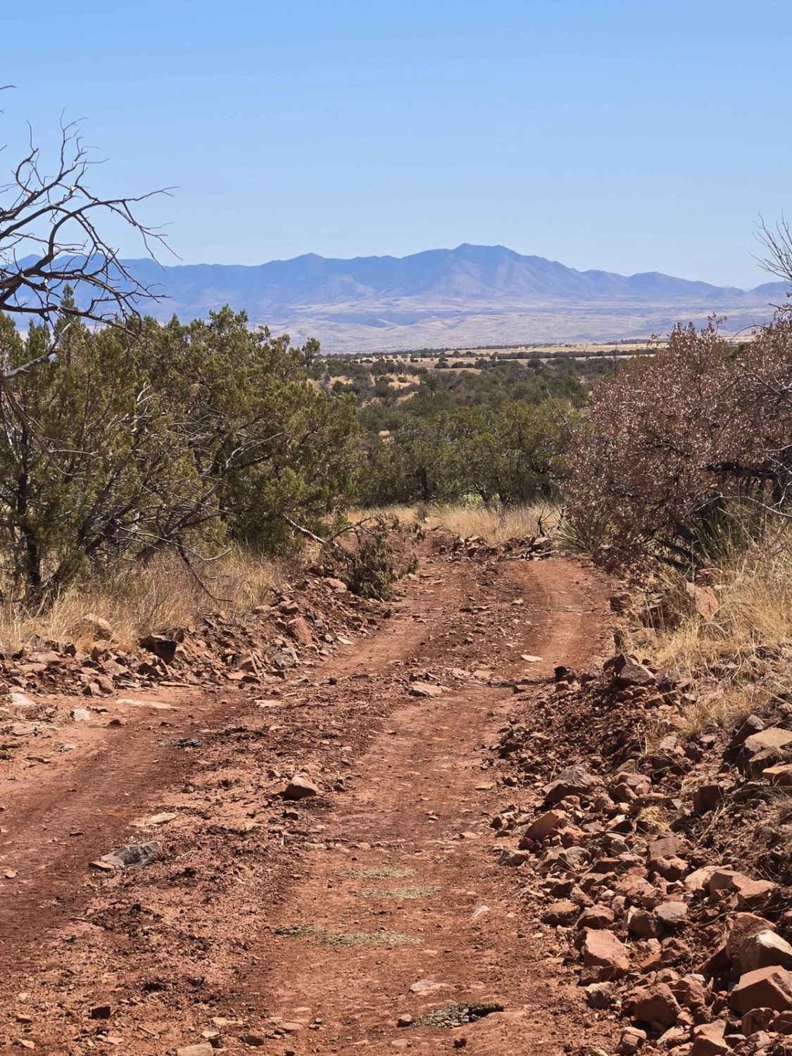 FSR 4104 to Hog Ridge