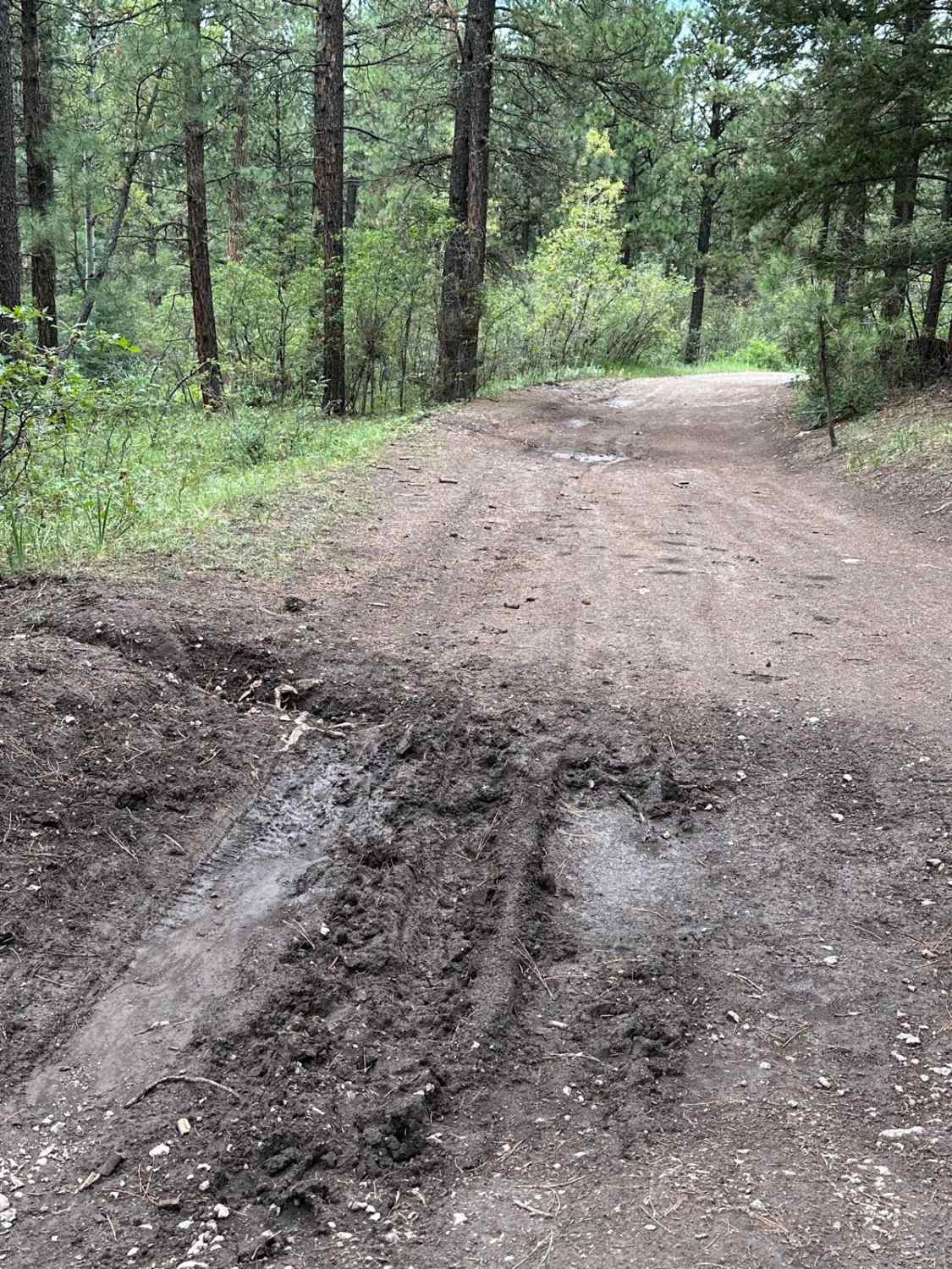 Mudhole Mania - FR 69C