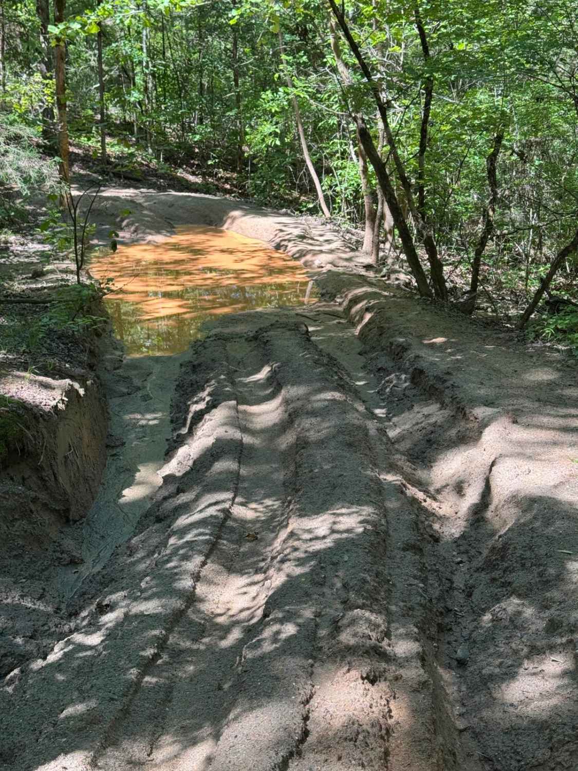 Clemson Detour