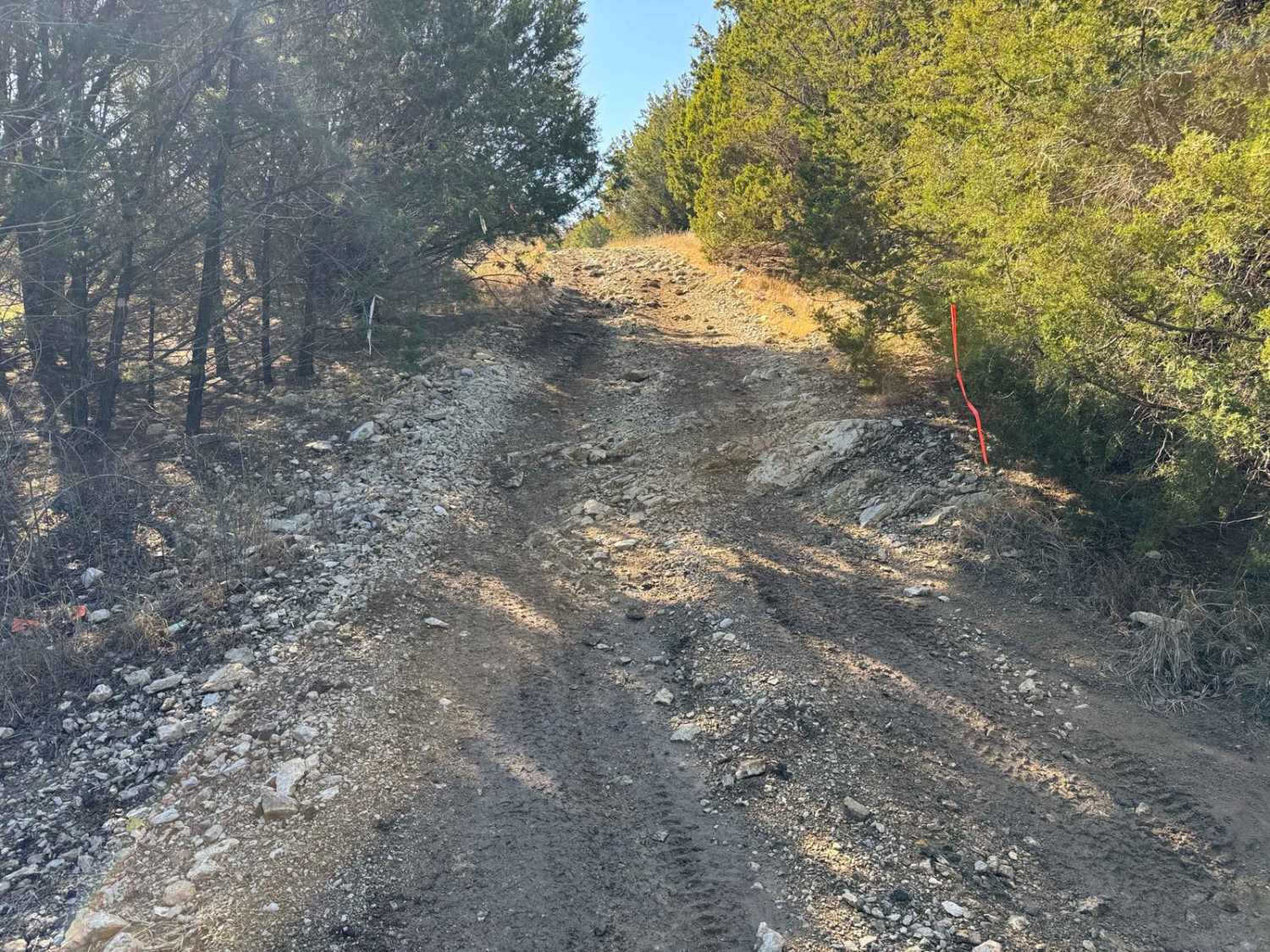 Wheeler Peak to Dead Man's Slide