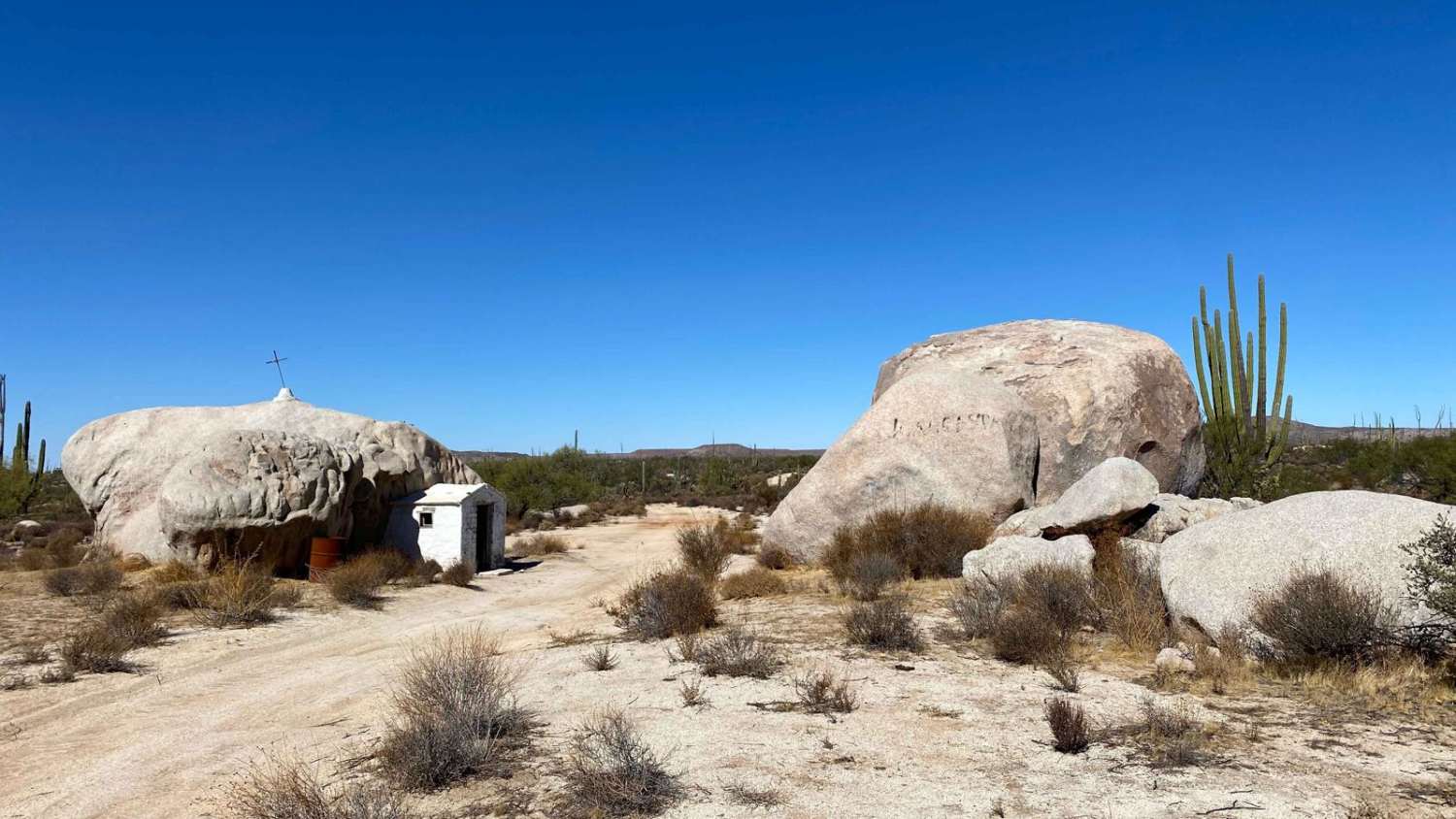 Los Cirios Trail